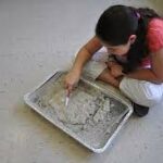 Fossil Dig - Educational Innovations Blog