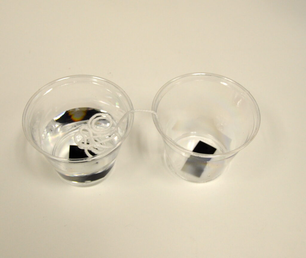 Surface Tension Demo - Educational Innovations Blog