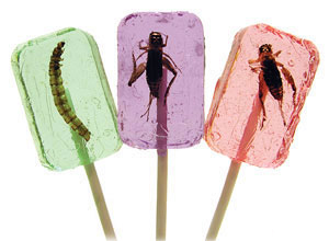 Cricket and Larva Pops - Educational Innovations