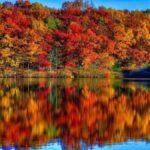 Autumn Leaf Chromatography - Educational Innovations Blog