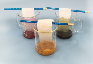 Autumn Leaves Chromatography - Educational Innovations Blog