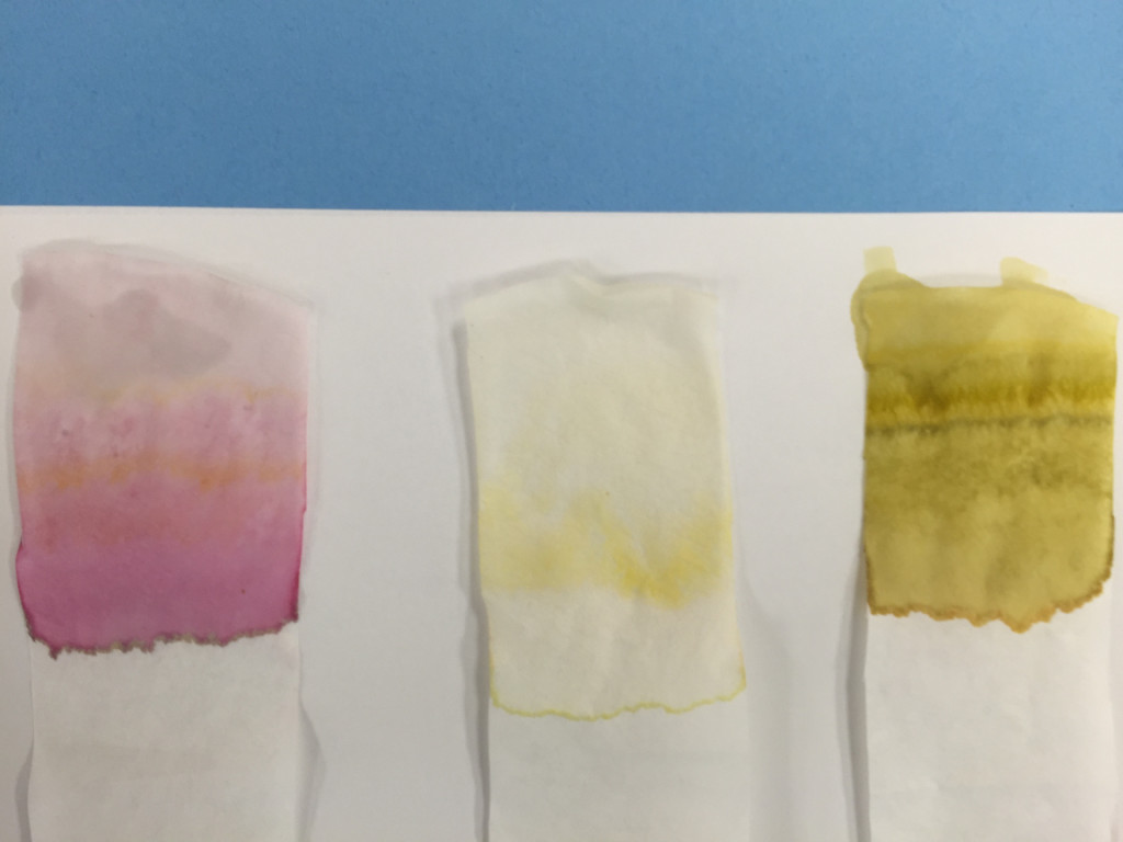 Autumn Leaves Chromatography - Educational Innovations Blog