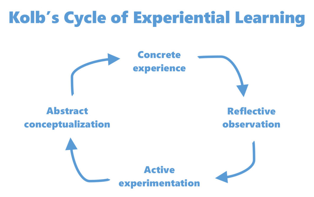 Top Five Things to Know about NGSS - Educational Innovations Blog