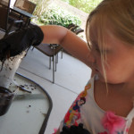 Electricity from Mud?! Educational Innovations Blog