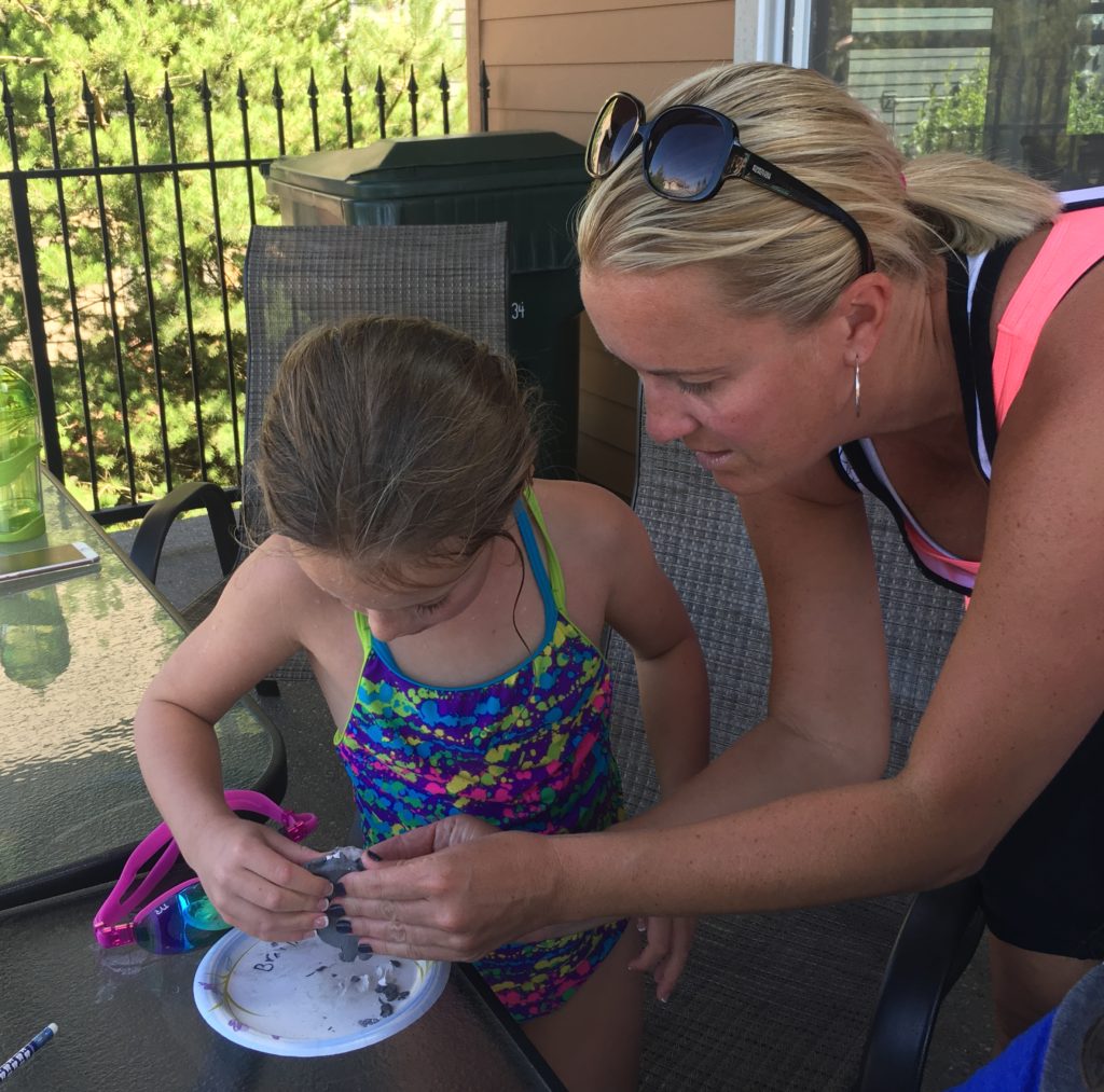 Tabletop Fossil Safari: Science Camp in a Box! Educational Innovations Blog