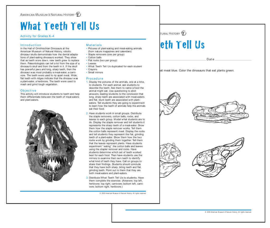 Fossils and Dinosaurs Lesson - Educational Innovations Blog