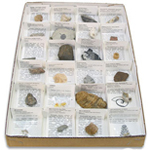 Fossils and Dinosaurs Product Reviews - Educational Innovations Blog