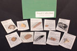 Fossils and Dinosaurs Product Reviews - Educational Innovations Blog