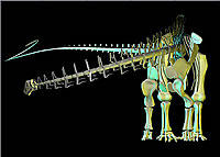 Fossils and Dinosaurs Lesson - Educational Innovations Blog