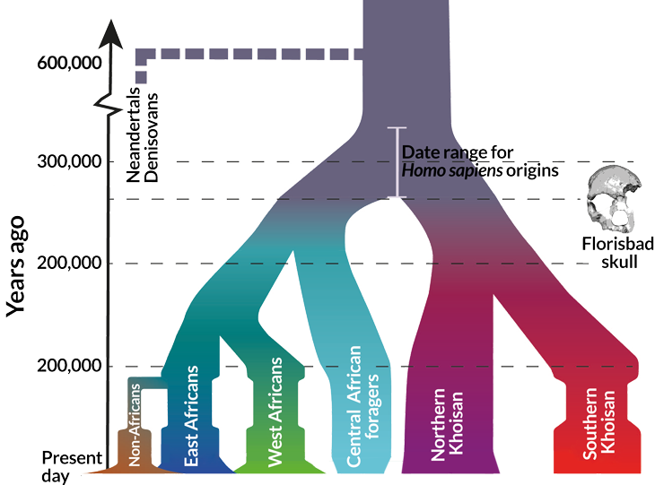 Forensic Science in the News - Educational Innovations Blog