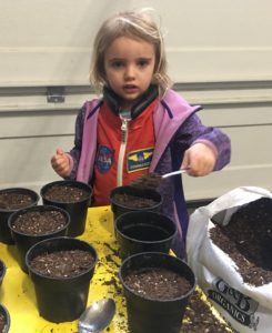 The Magic of Seeds, Spring, and Science! Educational Innovations Blog