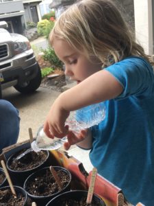 The Magic of Seeds, Spring, and Science! Educational Innovations Blog