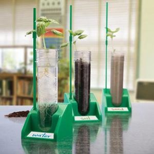 The Magic of Seeds, Spring, and Science! Educational Innovations Blog