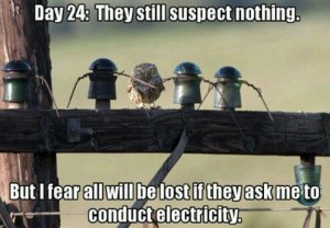 electricity humor - Educational Innovations