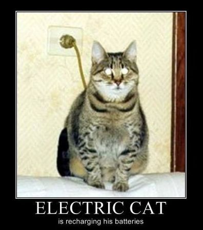 electricity humor - Educational Innovations