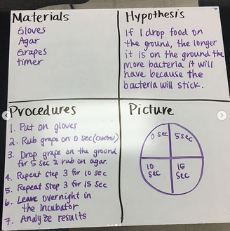 Setting Up a Bacterial Culture Lab - Educational Innovations Blog