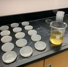 Setting Up a Bacterial Culture Lab - Educational Innovations Blog