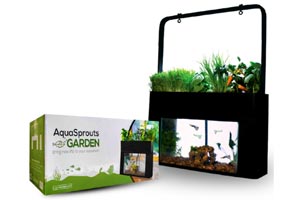 AquaSprouts Garden, Educational Innovations